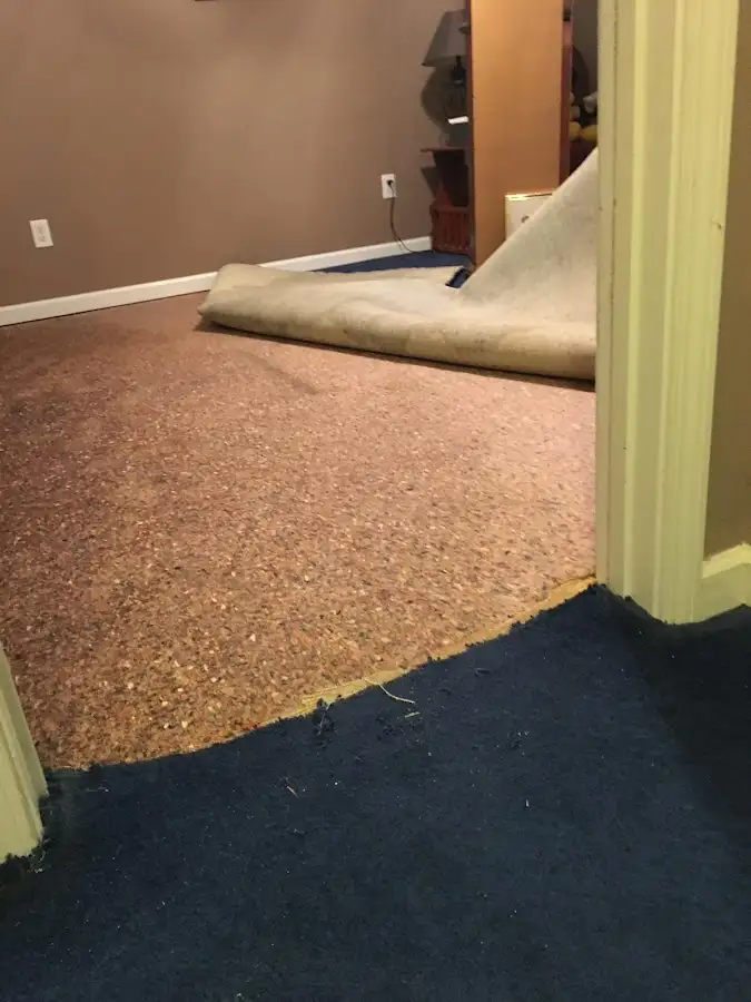 Carpet pad removal revealing water damage during Water Mitigation Services in Kankakee