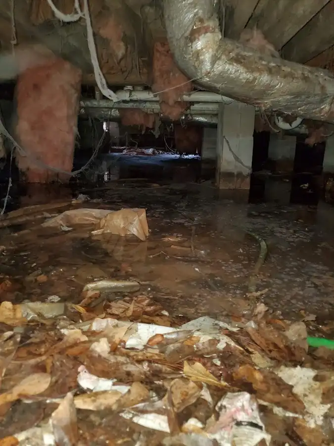 Crawl space flood assessment for Leak Detection & Repair in Kankakee