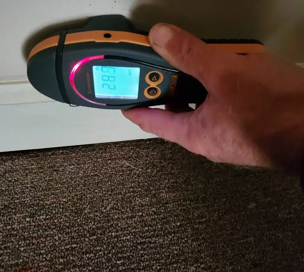 Moisture detection at baseboard during Mold Inspection & Testing in Kankakee