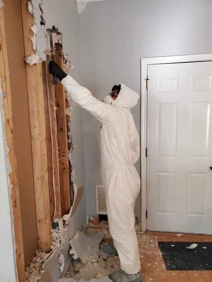 Mold Inspection & Testing in Kankakee, IL
